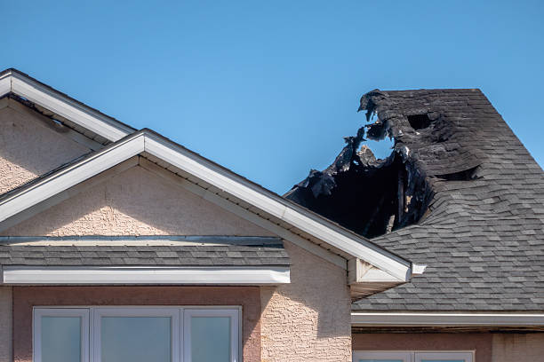 Top rated local Fire Damage Removal specialists in Leesburg, VA